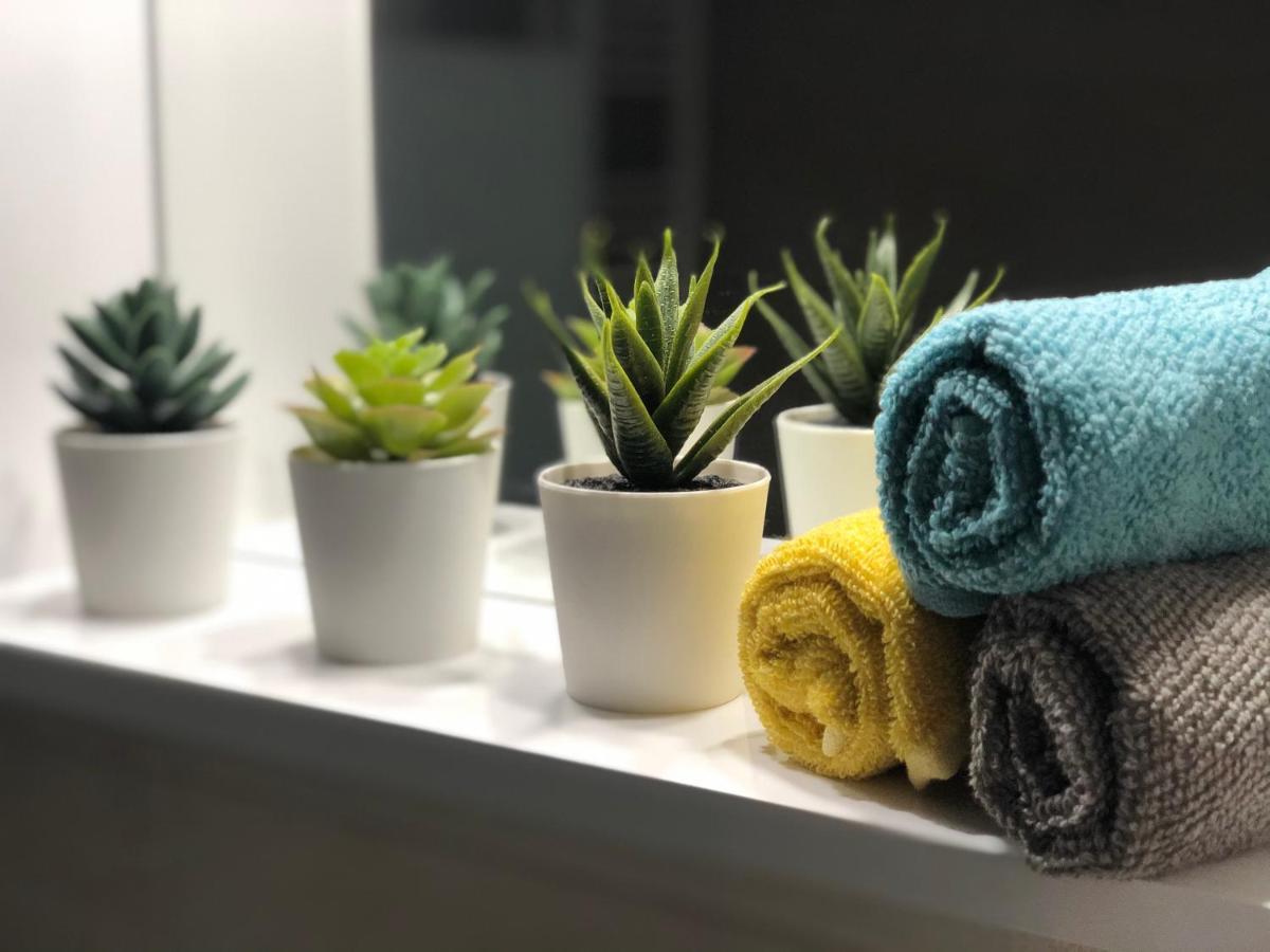 Cozy Studio Next To Acropolis & Plaka أثينا المظهر الخارجي الصورة